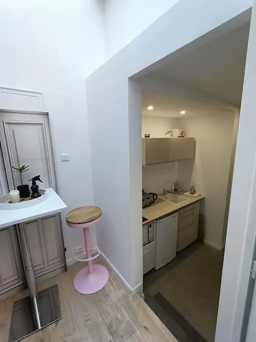Appartement Studio Cosy Villeurbanne 0*,
