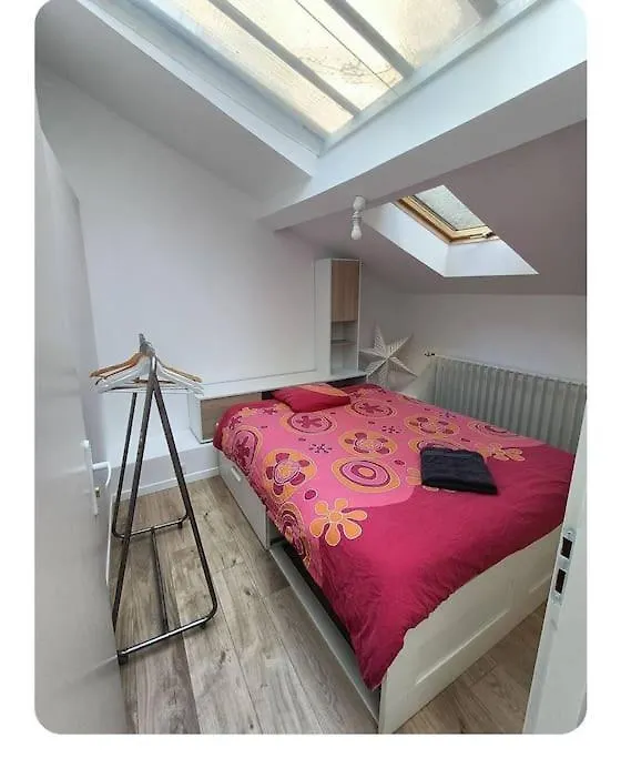 Appartement Studio Cosy Villeurbanne Fransa